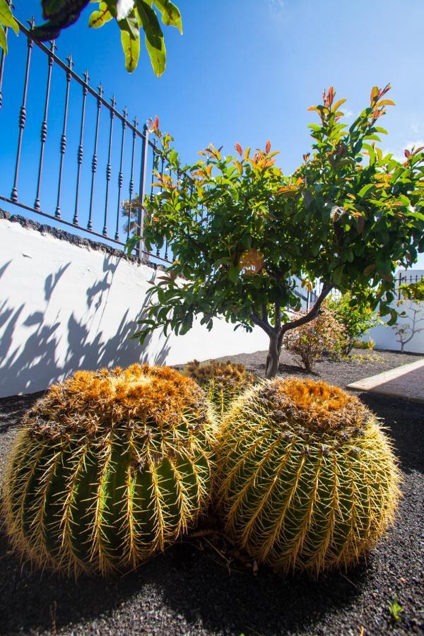 Alizuth Villa Puerto del Carmen  Dış mekan fotoğraf